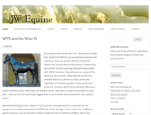 Tablet Screenshot of jwequine.com